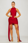 Wine High Neck Draped Detail Mini Dress