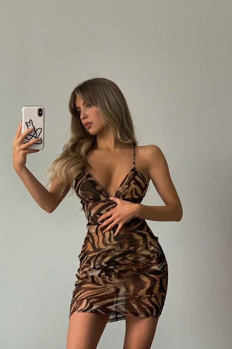 Brown Leopard Print Mesh Mini Dress