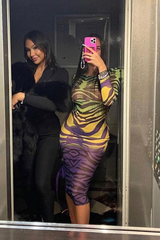 Multi Zebra Print Sheer Mesh Long Sleeve Midi Dress